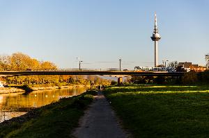 Zwischen Natur- und Industriecharme – Maulbeerinsel Mannheim