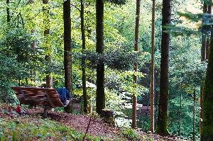 „Shinrin Yoku“ - Waldbaden im Käppeledobel Bollschweil - St. Ulrich