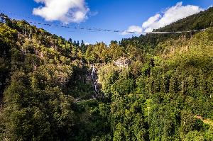 In schwindelerregender Höhe: Hängebrücken im Schwarzwald